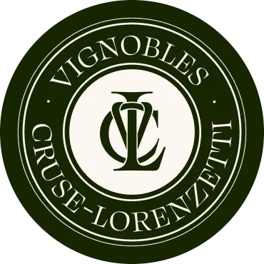 Accueil - Cruse Lorenzetti